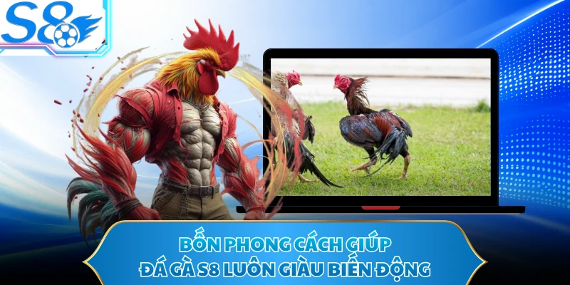Bốn phong cách giúp đá gà S8 luôn giàu biến động