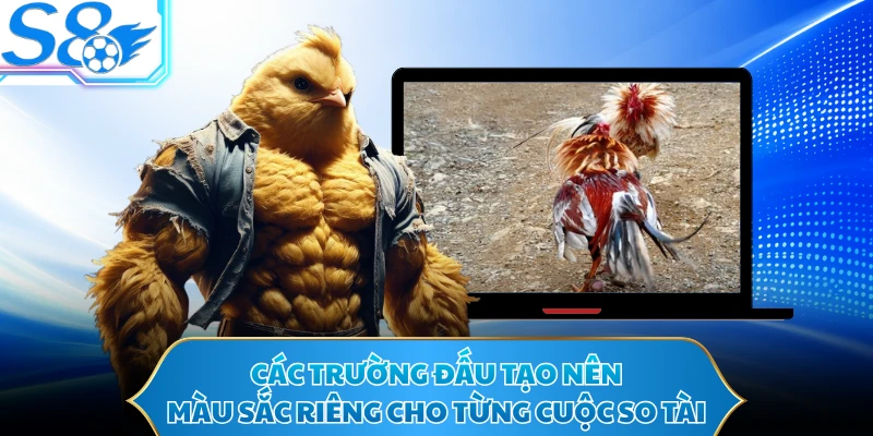 Các trường đấu tạo nên màu sắc riêng cho từng cuộc so tài