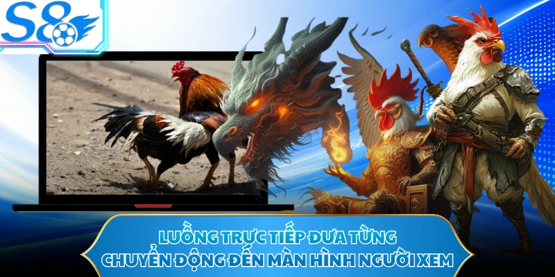 Luồng trực tiếp đưa từng chuyển động đến màn hình người xem